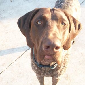 Meet your Posher, Brenda